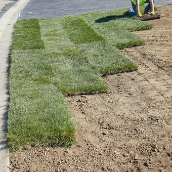 Sod varieties